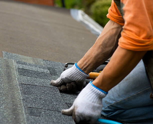 Best Storm Damage Roof Repair  in Murfreesboro, NC
